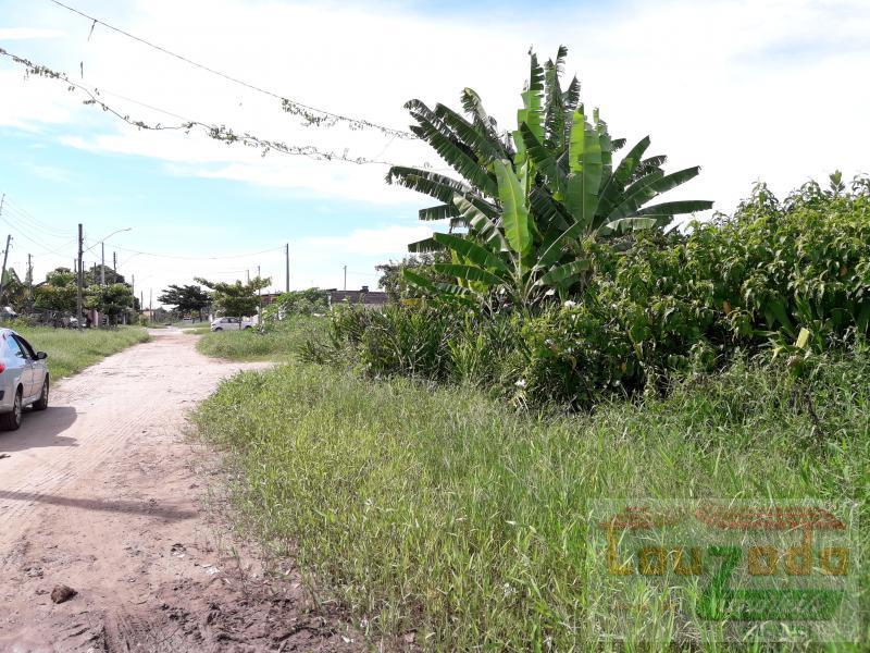 Terreno à venda, 250m² - Foto 2