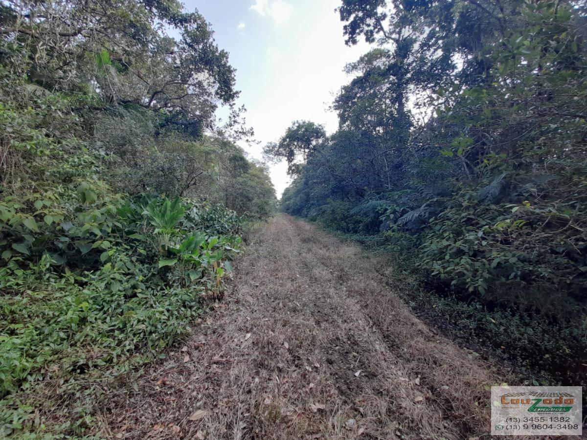 Terreno à venda, 500m² - Foto 3