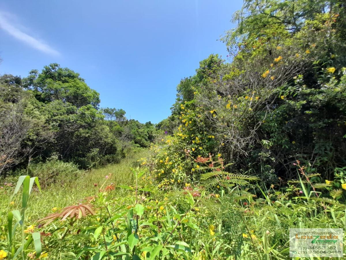 Terreno à venda, 364m² - Foto 3