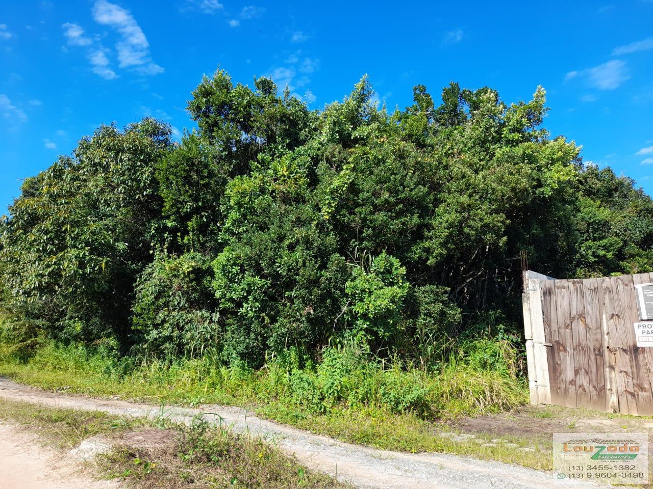 Terreno à venda, 1008m² - Foto 3