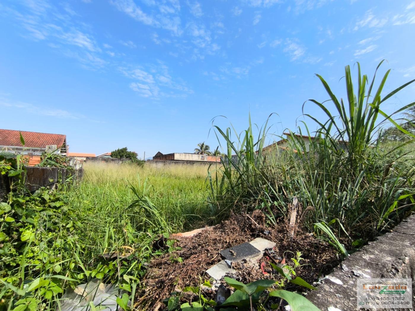 Terreno à venda, 260m² - Foto 3