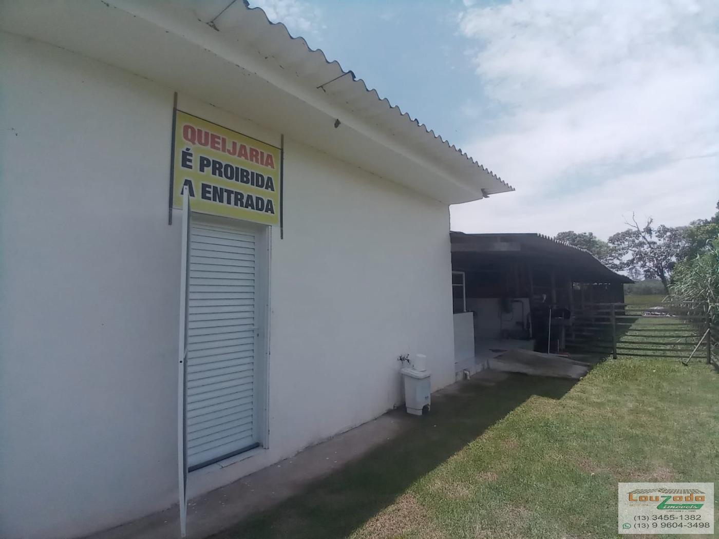 Chácara à venda com 3 quartos, 5560m² - Foto 11