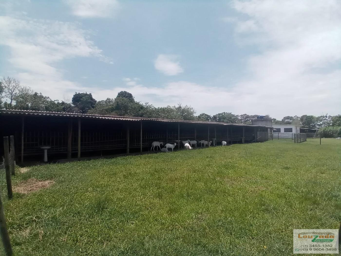 Chácara à venda com 3 quartos, 5560m² - Foto 6